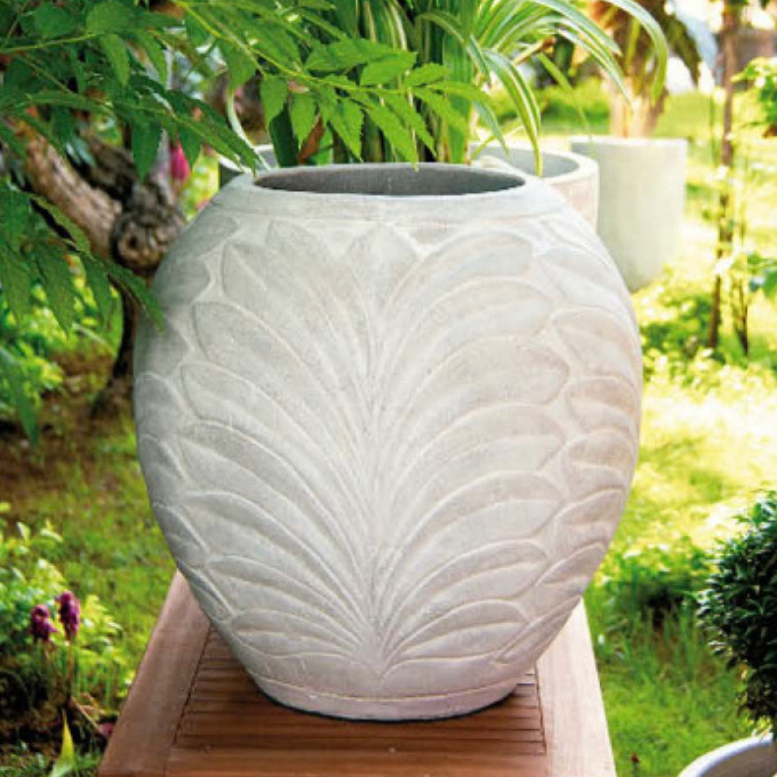Antoine white terracotta pot
