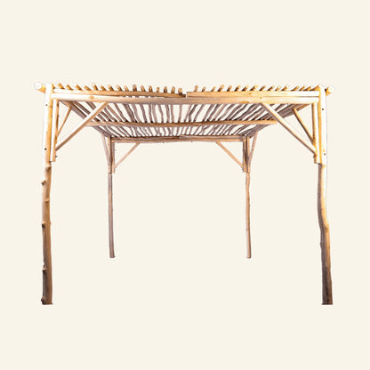 Pergola en branches de teck blanchi 10x10 - CRUSOË