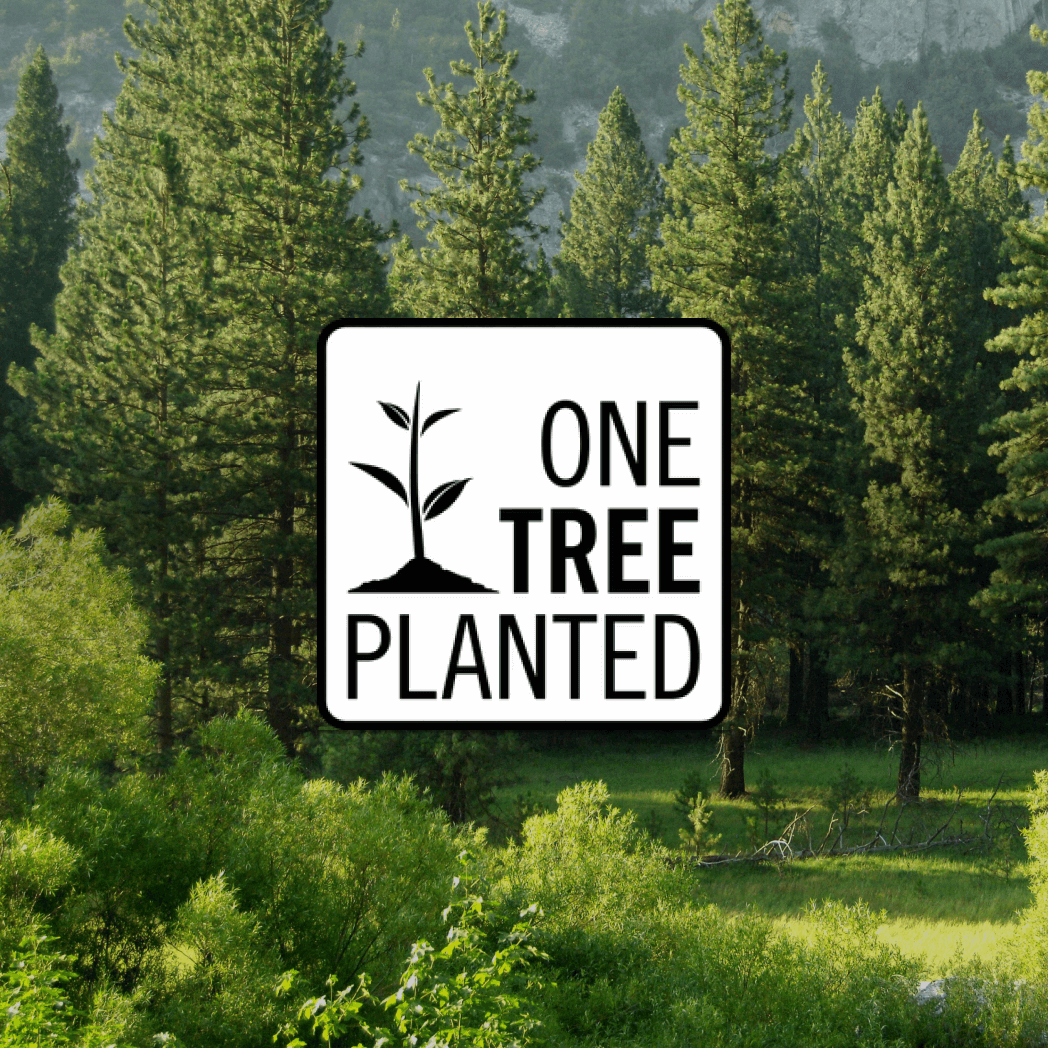 Planter un arbre 🌱 - CRUSOË